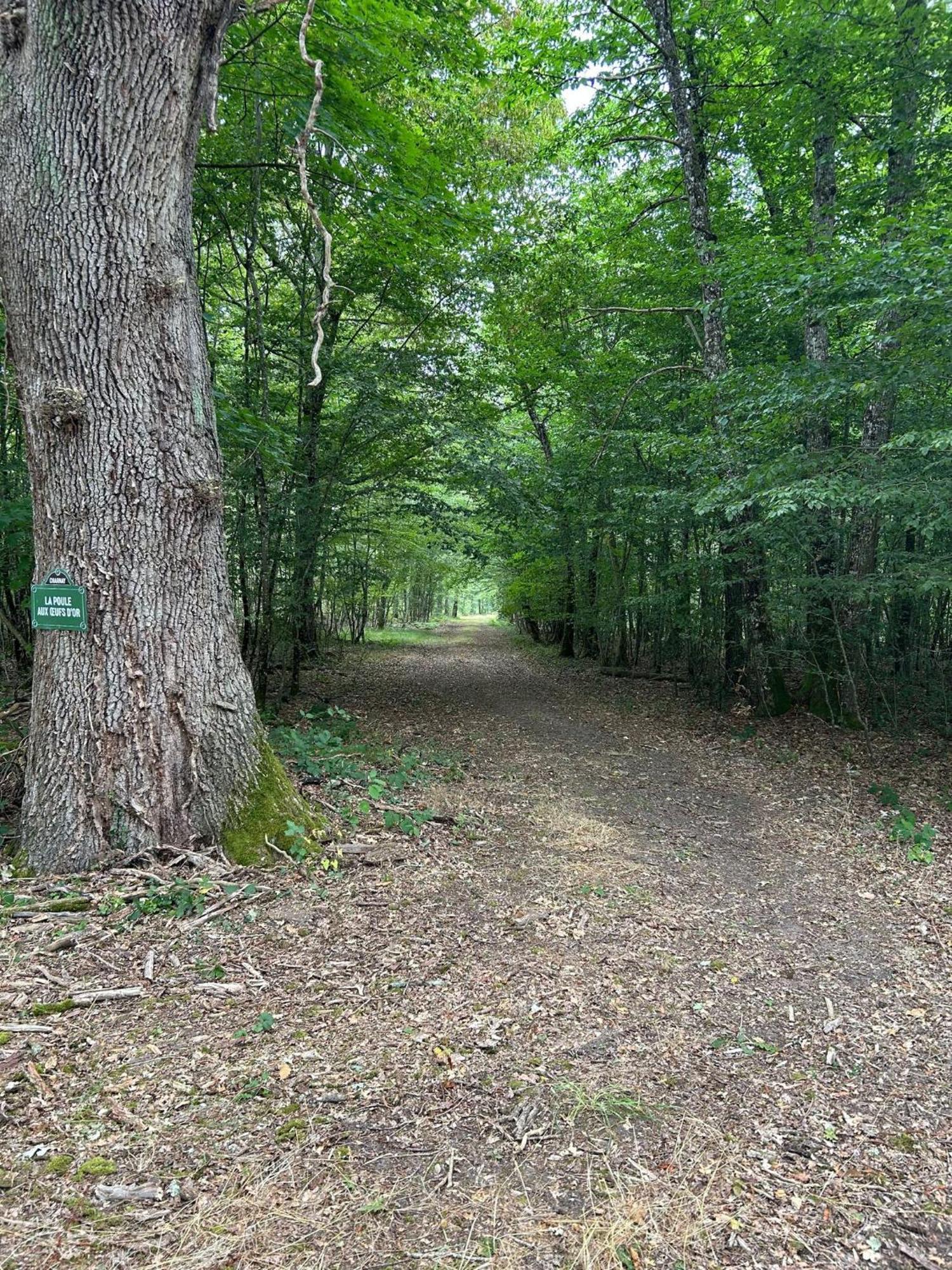 Domaine De Charnay - Charme Et Confort Dans Un Environnement D'Exception Vierzon Exterior photo